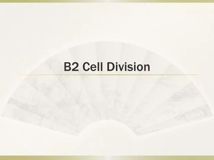 b2 cell division