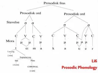 Li6 Prosodic Phonology