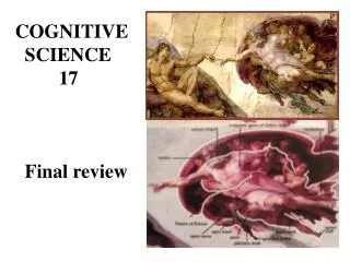COGNITIVE SCIENCE 17 Final review