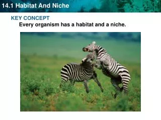 KEY CONCEPT Every organism has a habitat and a niche.