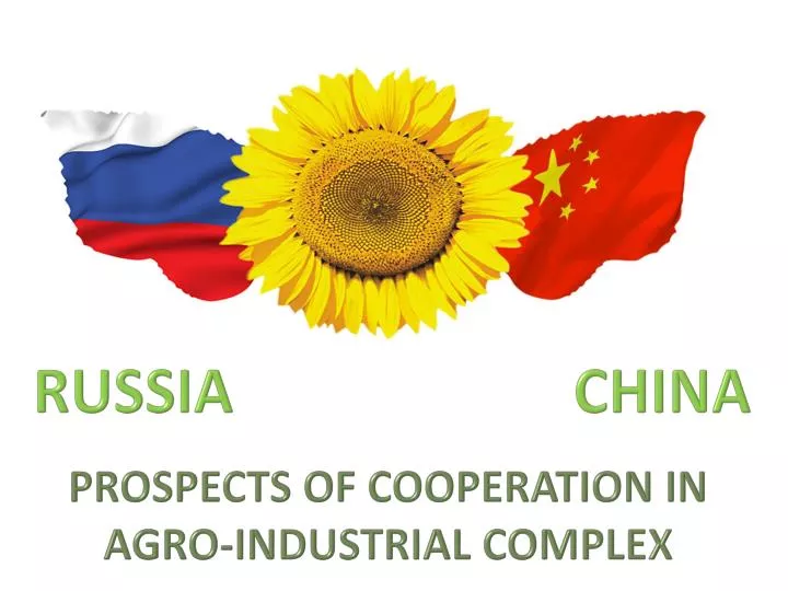 prospects of cooperation in agro industrial complex
