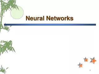 neural networks