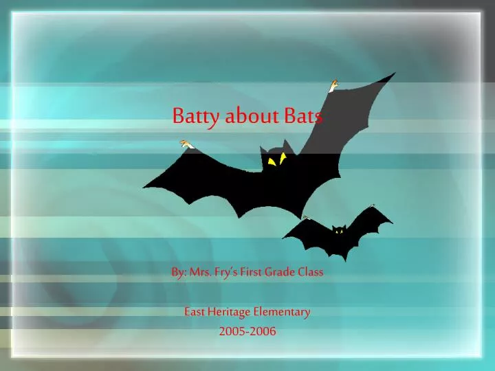 batty about bats
