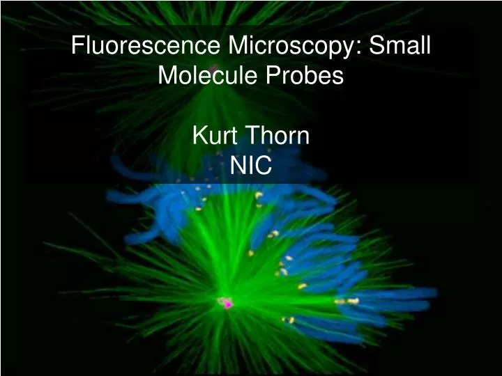 fluorescence microscopy small molecule probes kurt thorn nic
