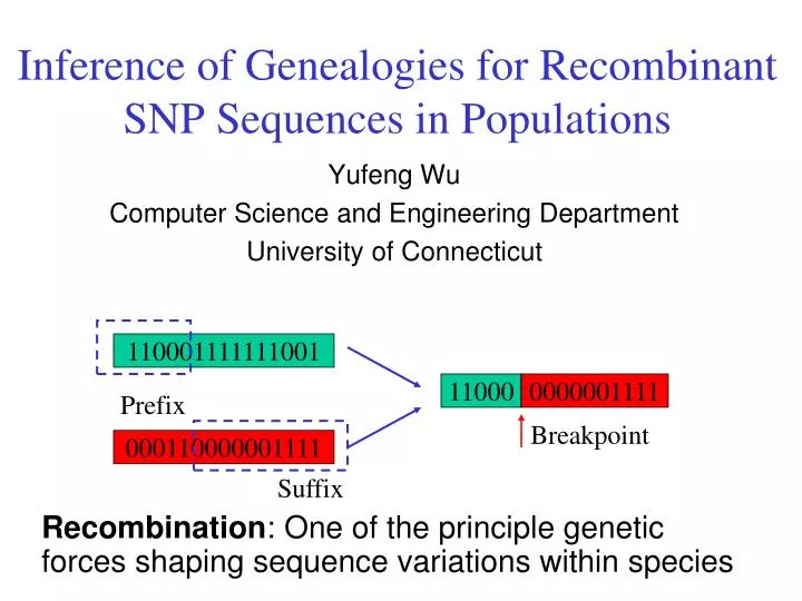 inference of genealogies for recombinant snp sequences in populations