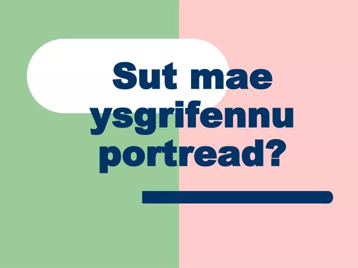 sut mae ysgrifennu portread