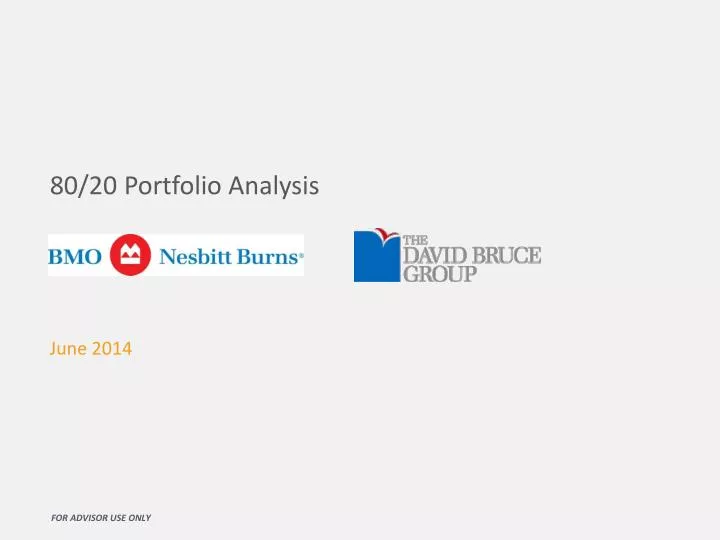 80 20 portfolio analysis june 2014