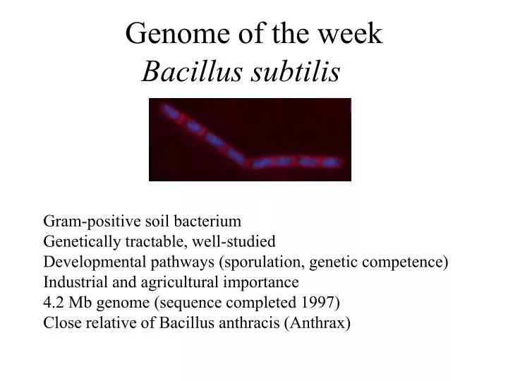 genome of the week