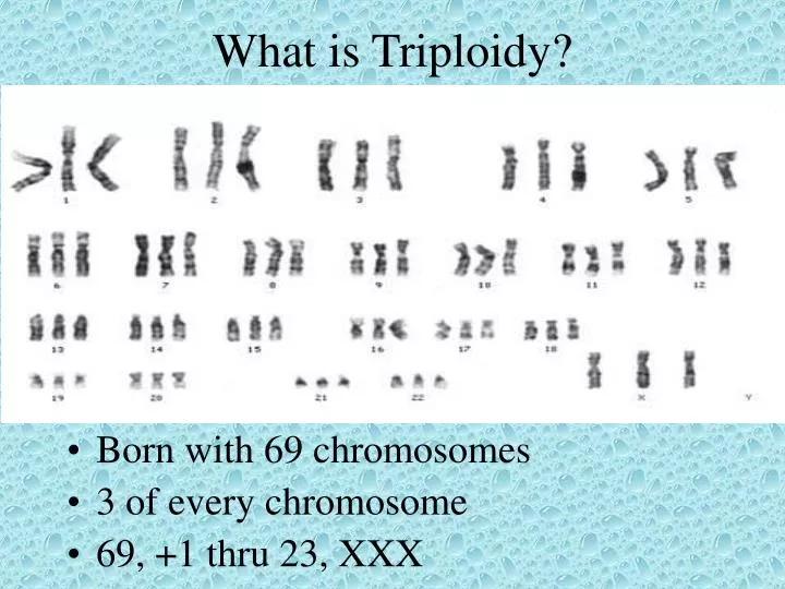 what is triploidy