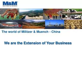 The world of Militzer &amp; Muench - China