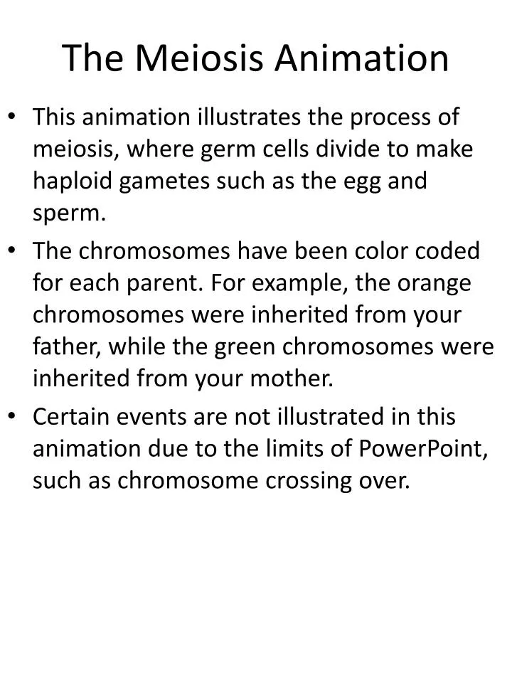 the meiosis animation