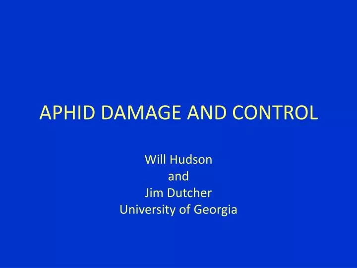 aphid damage and control