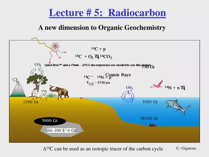 lecture 5 radiocarbon