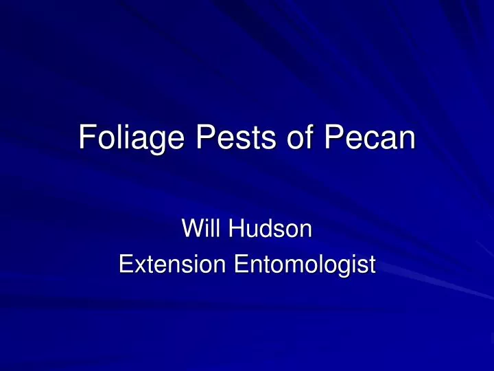 foliage pests of pecan