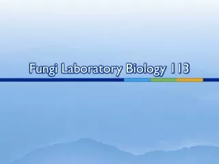 Fungi Laboratory Biology 113