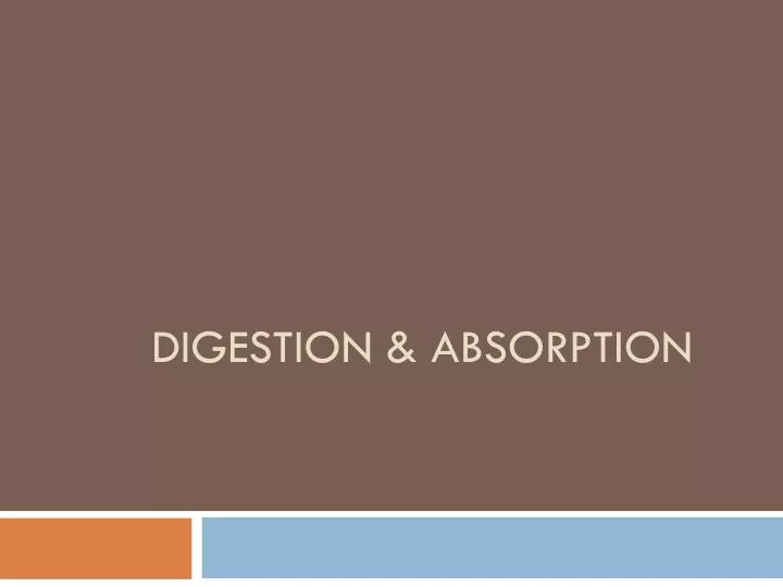 digestion absorption
