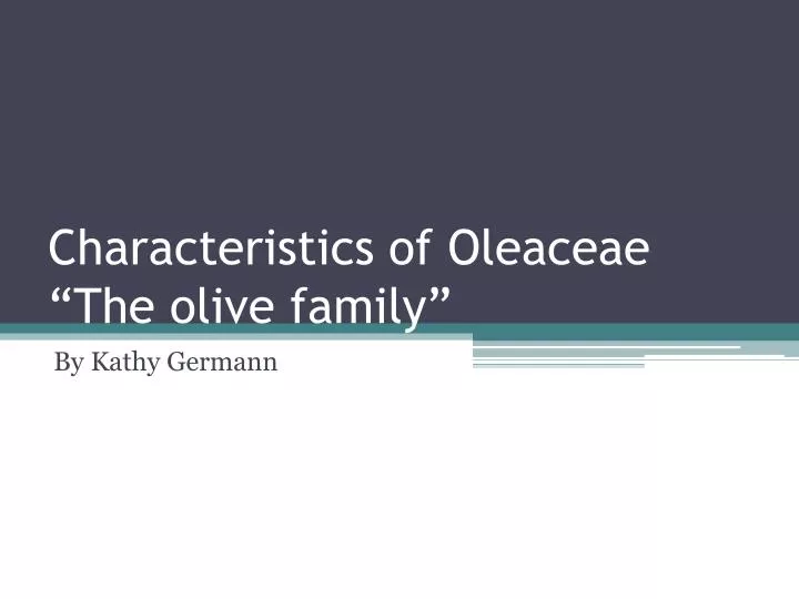 characteristics of oleaceae the olive family