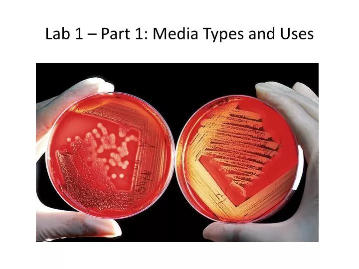 lab 1 part 1 media types and uses