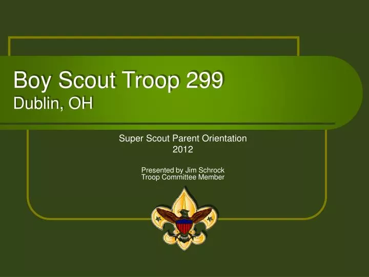 boy scout troop 299 dublin oh