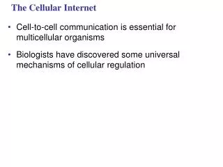 The Cellular Internet