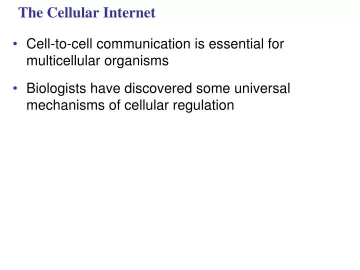 the cellular internet