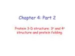 Protein Structure and Folding: Understanding the Organization - slide 1