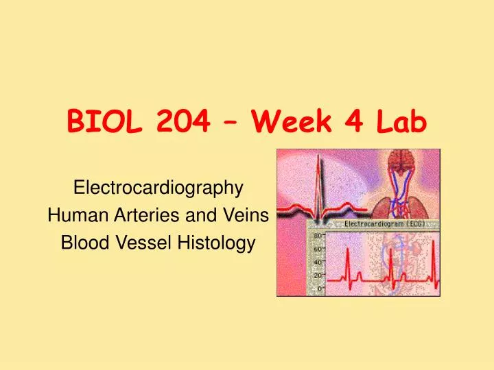 biol 204 week 4 lab