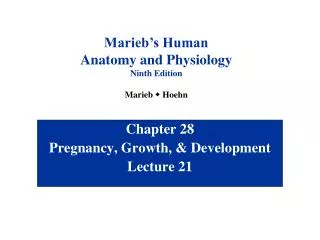 Chapter 28 Pregnancy, Growth, &amp; Development Lecture 21