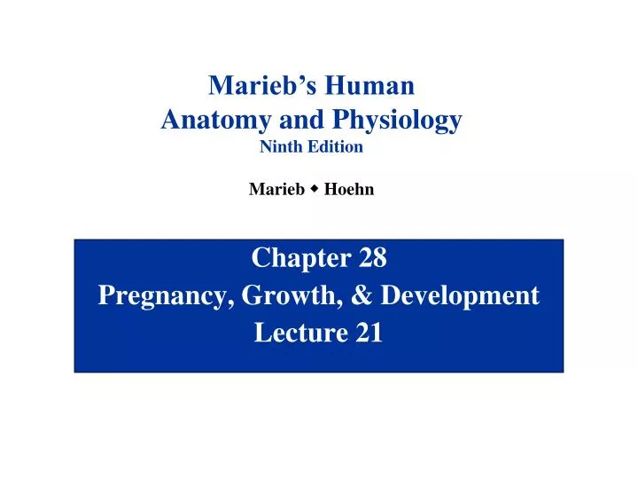 chapter 28 pregnancy growth development lecture 21