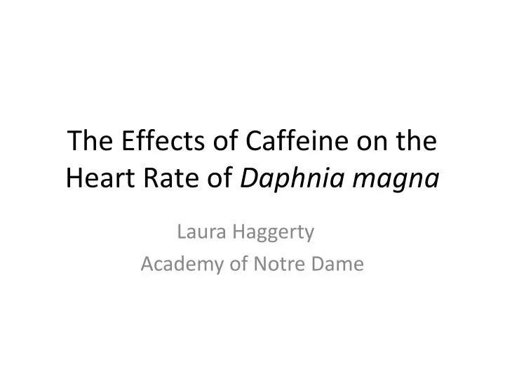 the effects of caffeine on the heart rate of daphnia magna