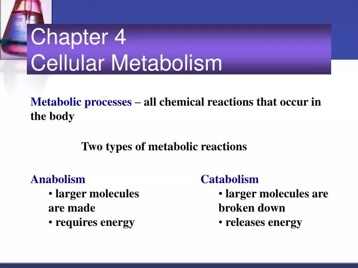 chapter 4 cellular metabolism