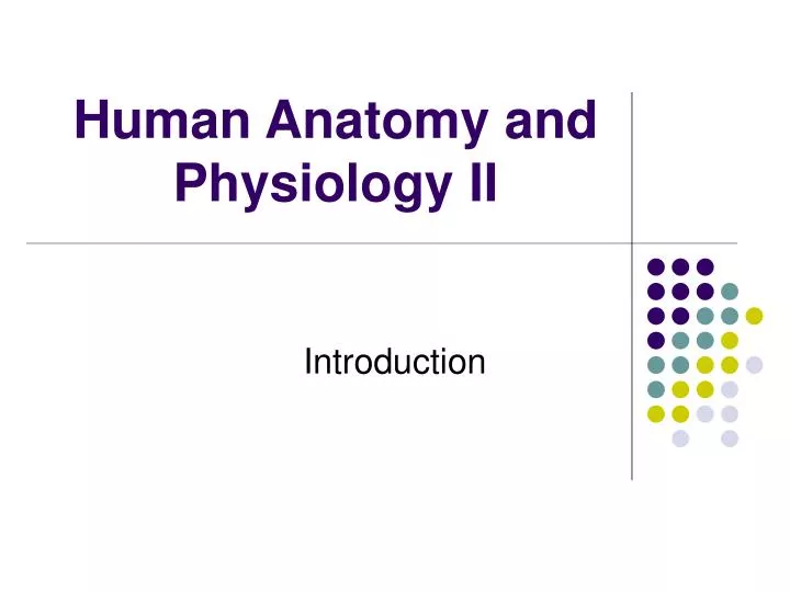 human anatomy and physiology ii