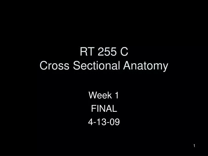 rt 255 c cross sectional anatomy