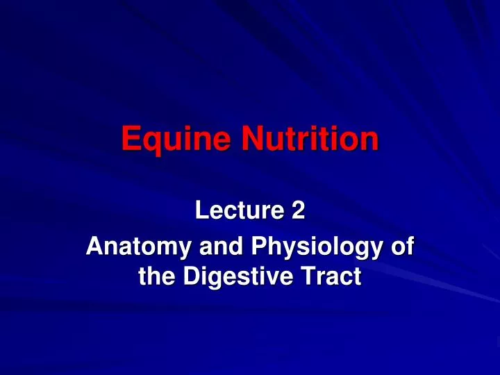 equine nutrition