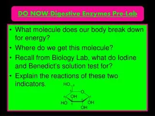 DO NOW:Digestive Enzymes Pre-Lab