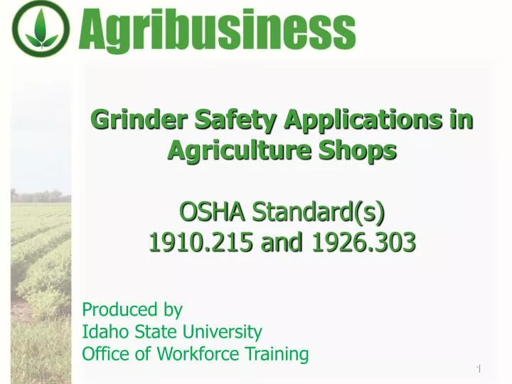 grinder safety applications in agriculture shops osha standard s 1 910 215 and 1926 303