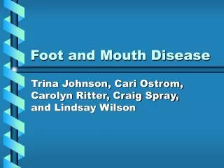 Foot and Mouth Disease