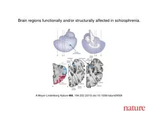 A Meyer-Lindenberg Nature 468 , 194-202 (2010) doi:10.1038/nature09569