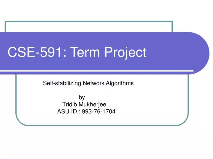 cse 591 term project