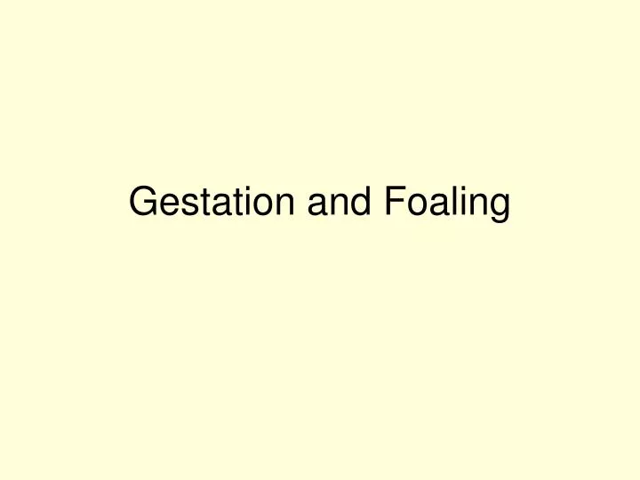 gestation and foaling