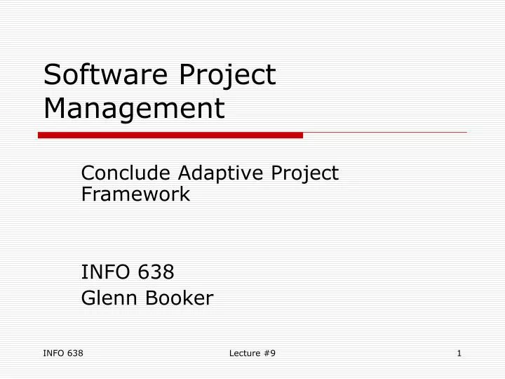 software project management