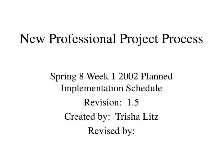 new professional project process