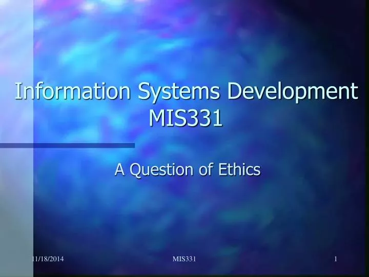 information systems development mis331