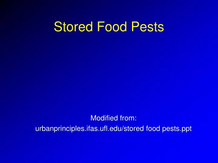 stored food pests