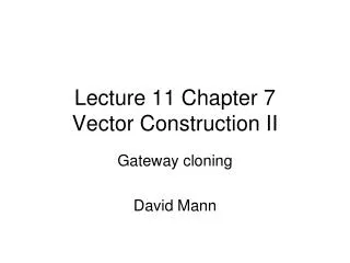 Lecture 11 Chapter 7 Vector Construction II