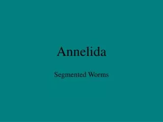 annelida