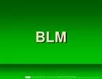 BLM - slide 1
