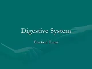 Digestive System