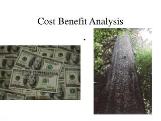 Cost Benefit Analysis