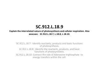 SC.912.L.18.7: Identify reactants, products and basic functions of photosynthesis.